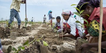 Development of the project-level Women’s Empowerment in Agriculture Index (pro-WEAI)